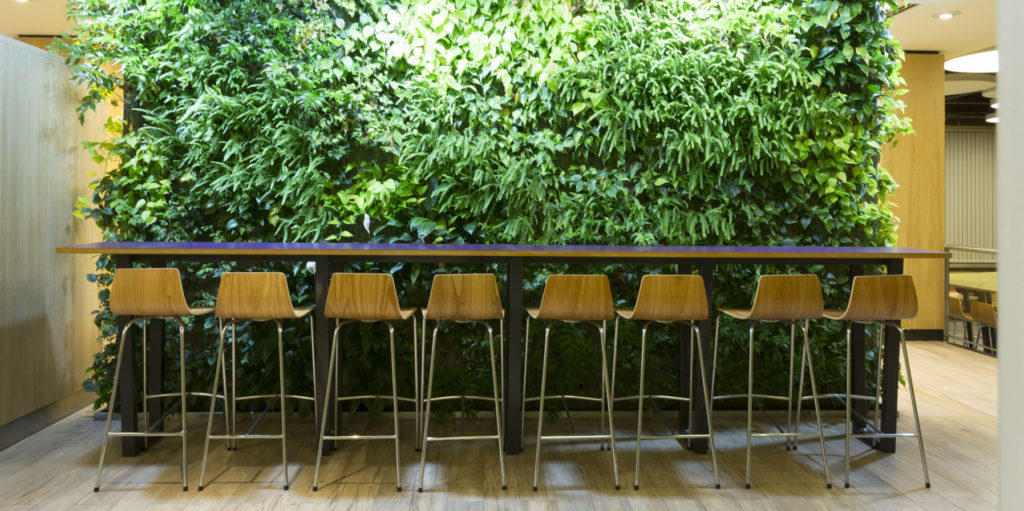 Comedor Edificio Corporativo